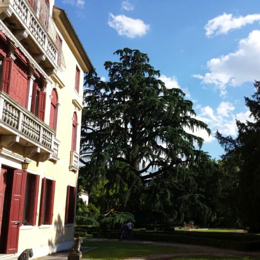 Villa Albrizzi Franchetti